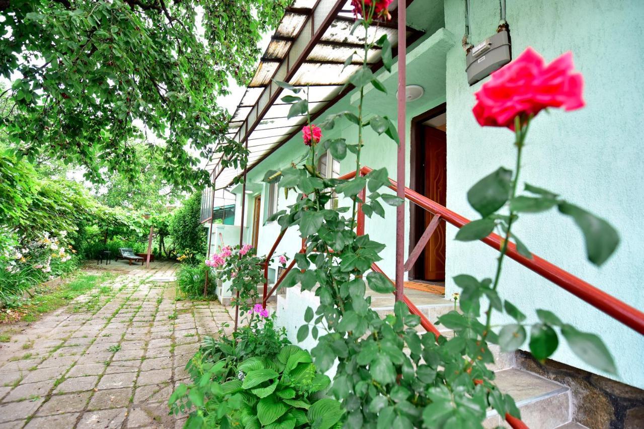 Вилла Flh - House Angelique Сибиу Экстерьер фото